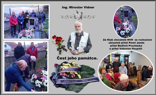 vidner..jpg